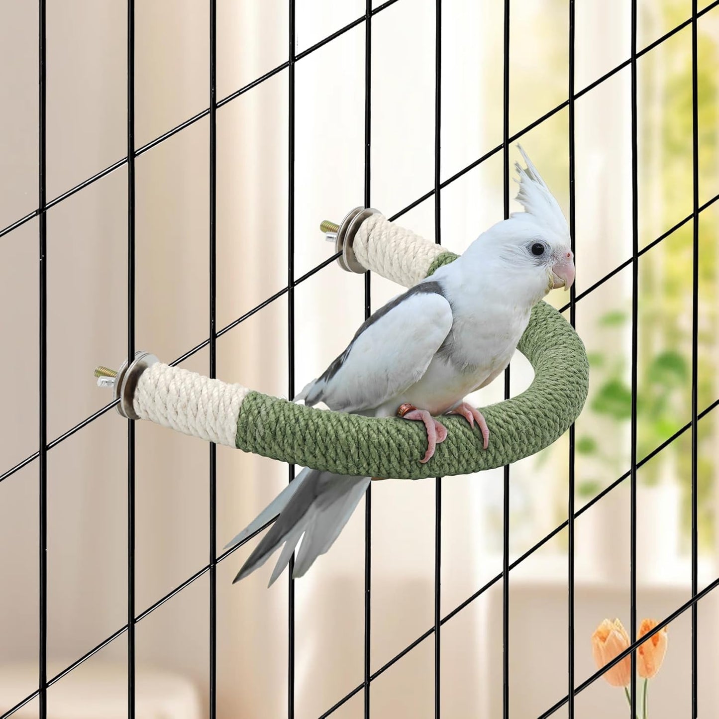 U-Shaped Wood Parrot Perch