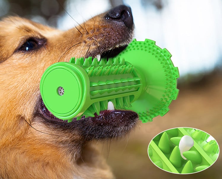 Pet Toothbrush Chewing Stick Toys