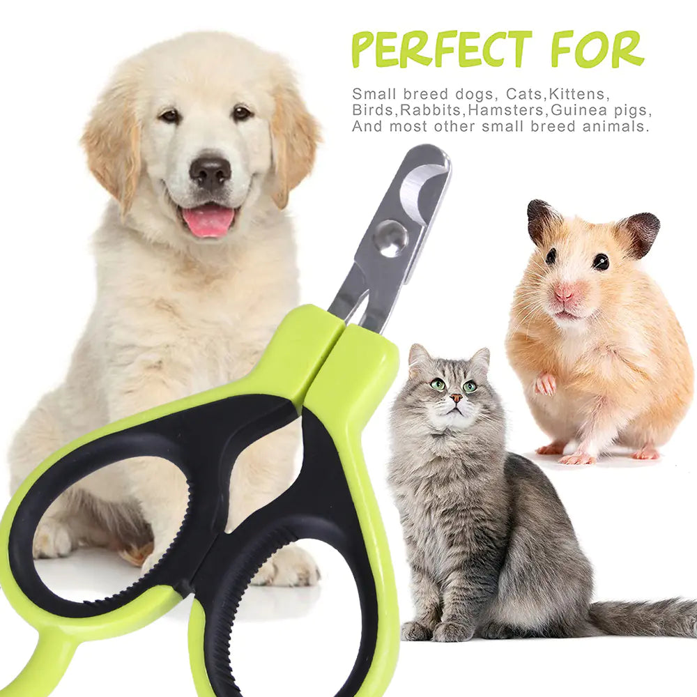 Nail Scissors for Dogs and Cats
