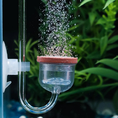 CO2 Diffuser for Acrylic Fish Aquarium Plants