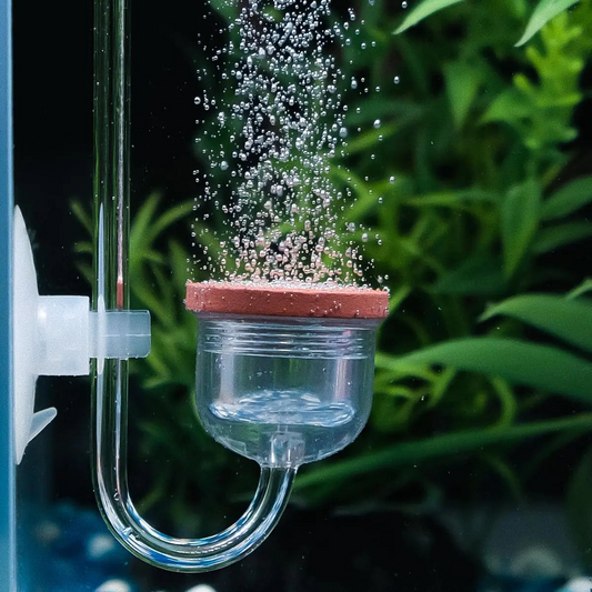 CO2 Diffuser for Acrylic Fish Aquarium Plants