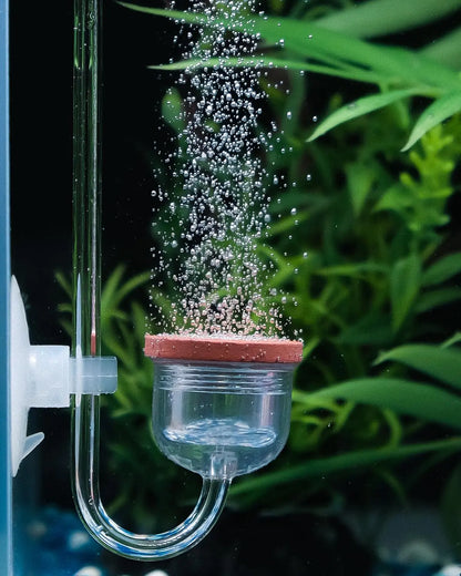 CO2 Diffuser for Acrylic Fish Aquarium Plants