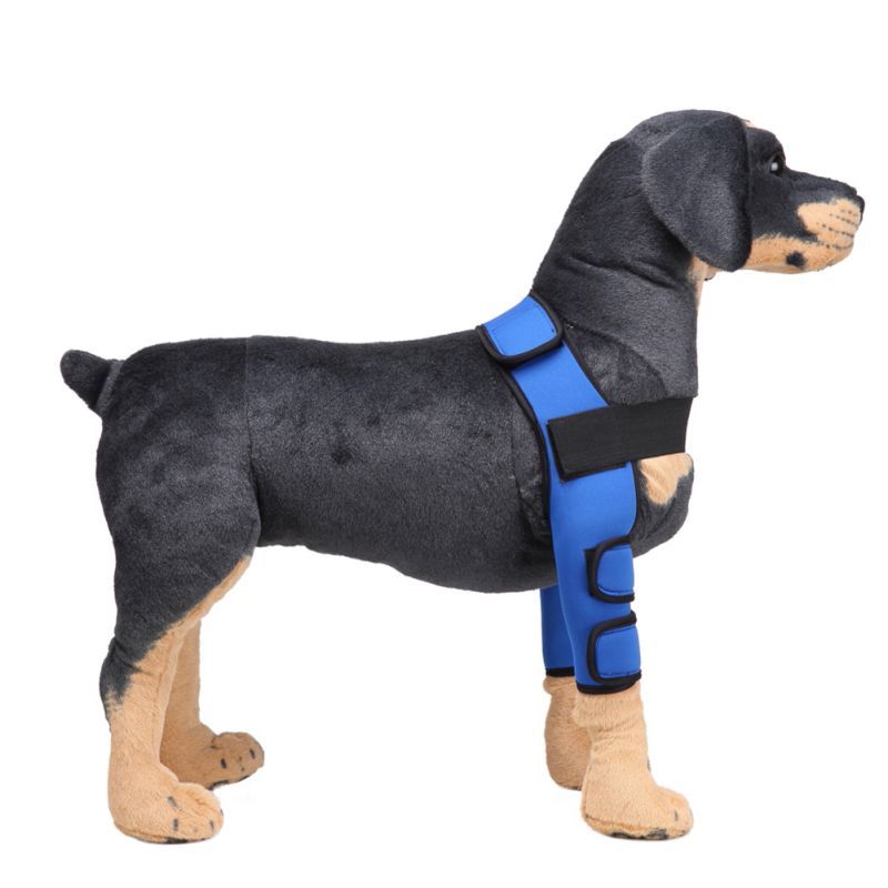 Dog Knee Brace & Leg Protector