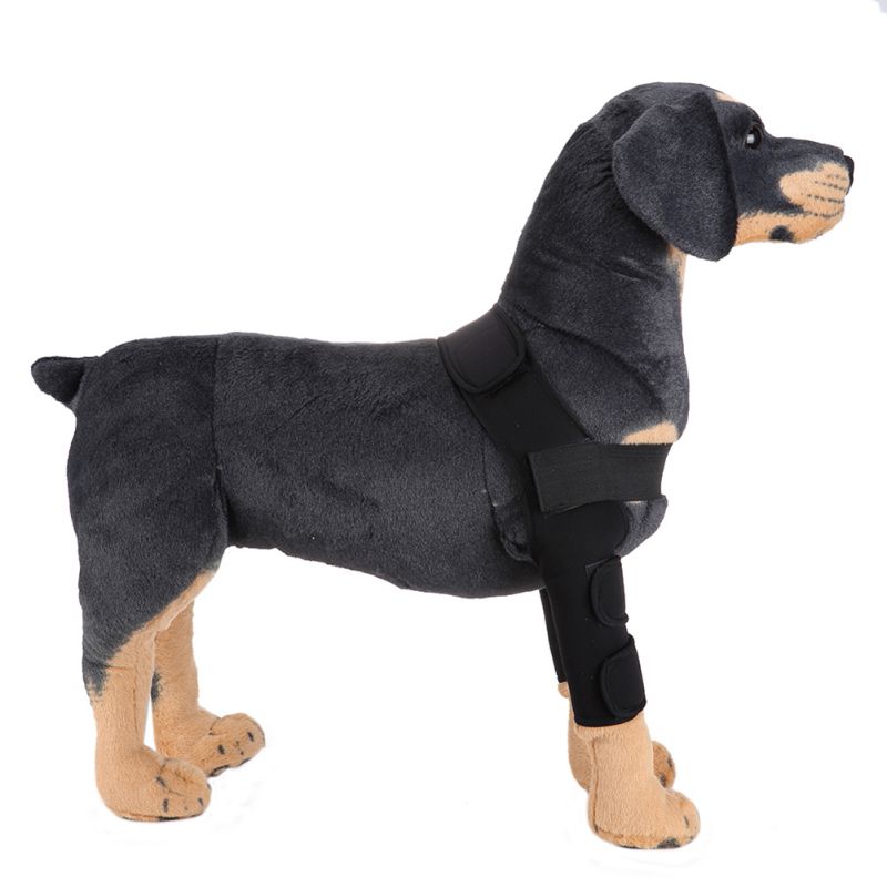 Dog Knee Brace & Leg Protector