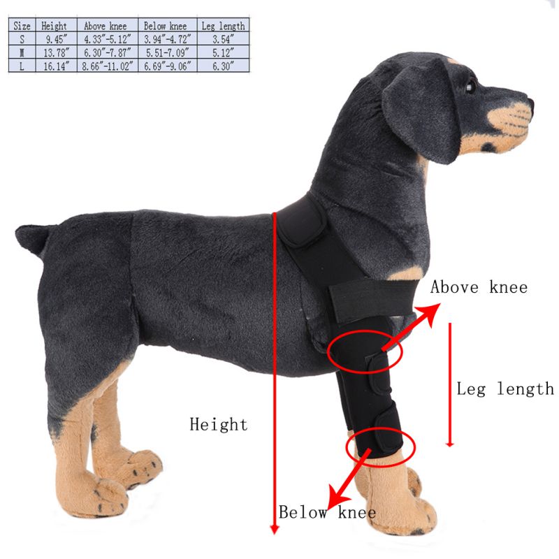 Dog Knee Brace & Leg Protector