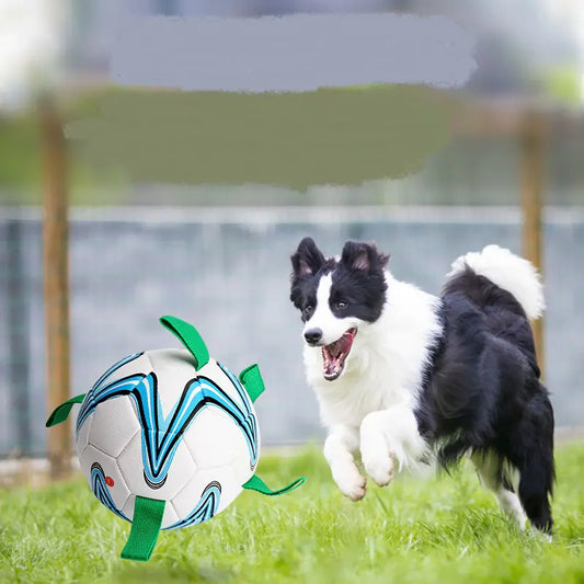Pet Training Rope Football for Dogs