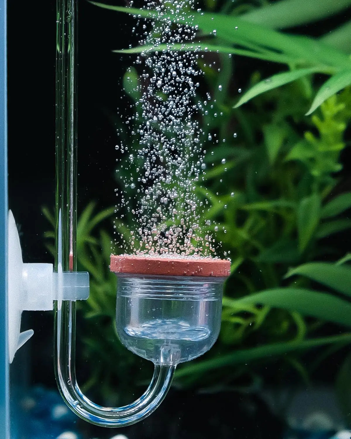 CO2 Diffuser for Acrylic Fish Aquarium Plants
