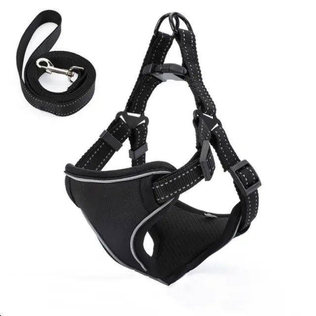 Vest-Style Dog Walking Leash