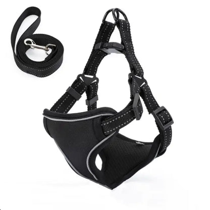 Vest-Style Dog Walking Leash