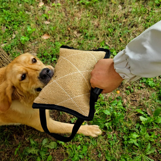 Interactive Hemp Bite Pillow for Dog Training