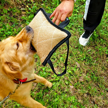 Interactive Hemp Bite Pillow for Dog Training