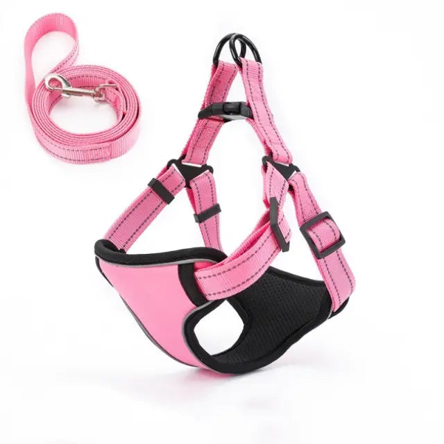 Vest-Style Dog Walking Leash