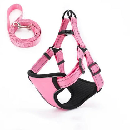 Vest-Style Dog Walking Leash
