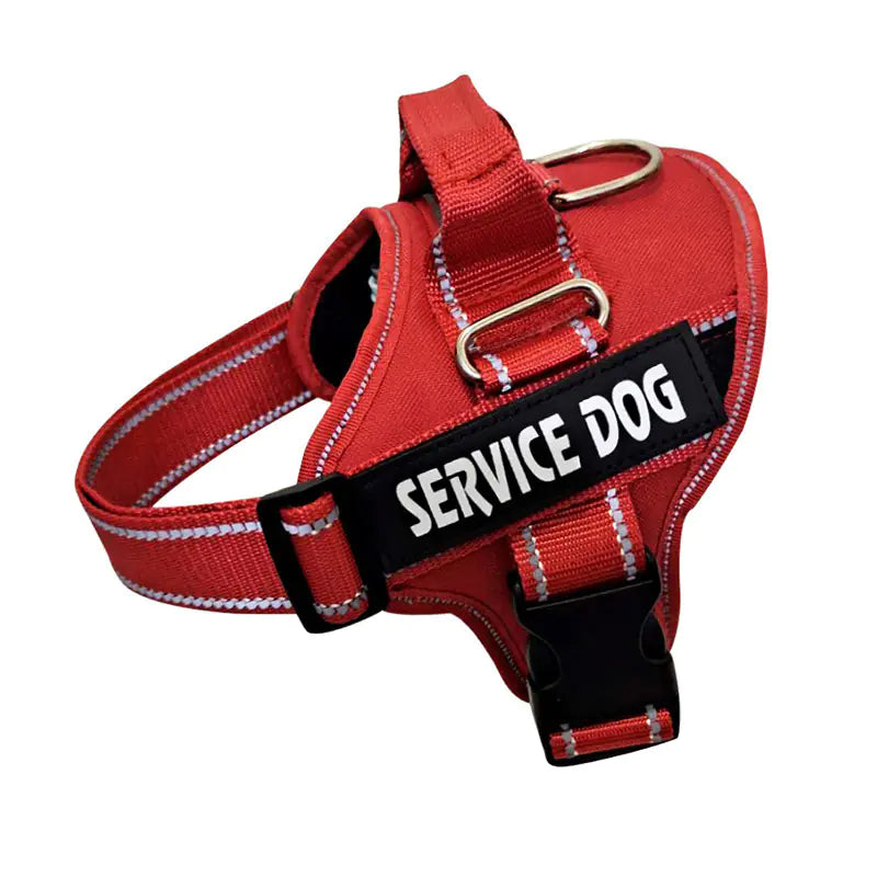 Personalized Pet Chest Strap Harness