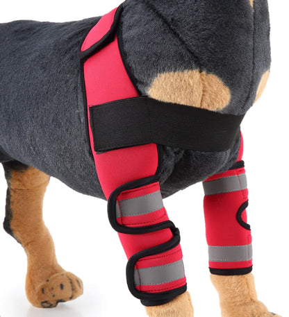 Dog Knee Brace & Leg Protector