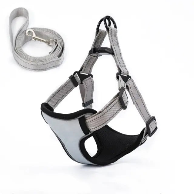 Vest-Style Dog Walking Leash
