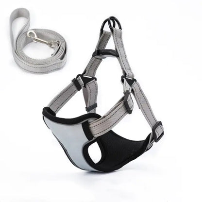 Vest-Style Dog Walking Leash