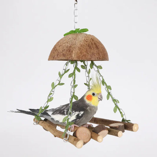 Coconut Bird Nest Swing Hammock