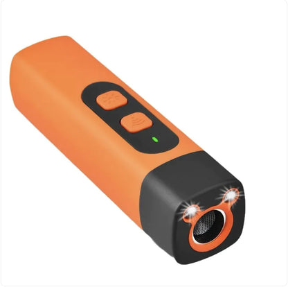 Mini Handheld Pet Training Light