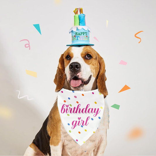 Dog Birthday Gift Pet Bibs Scarf