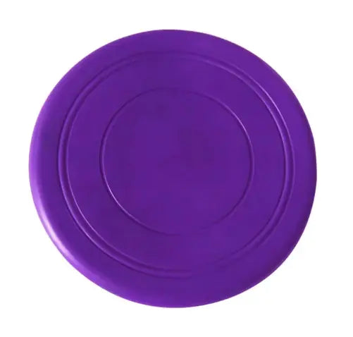 Pet Training Tray Toy