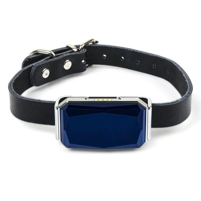 GPS Lost Pet Location Tracking Collar