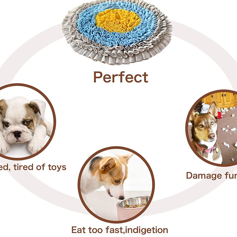 Pet Training Sniffing Feeding Snuffle Mat