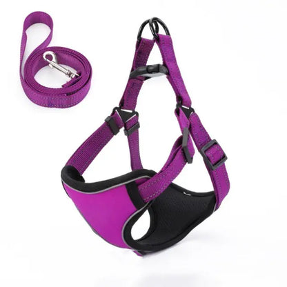 Vest-Style Dog Walking Leash
