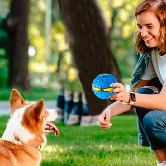 Interactive Flying Saucer Disc Ball