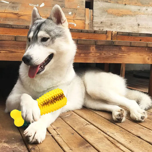 Pet Teeth Cleaning Chewing Fetching Toys
