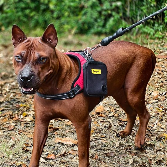 Pet Training Clicker & Poop Pocked Sized Bags