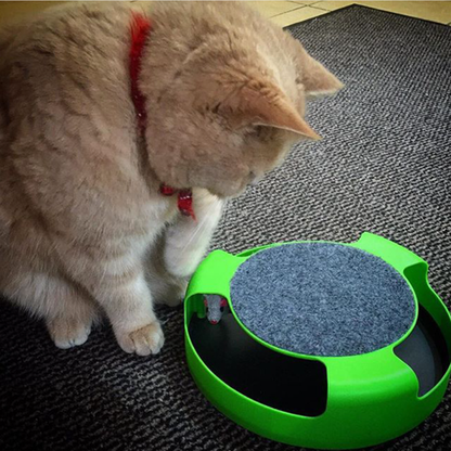 Cat Scratching Post and Mouse Toy