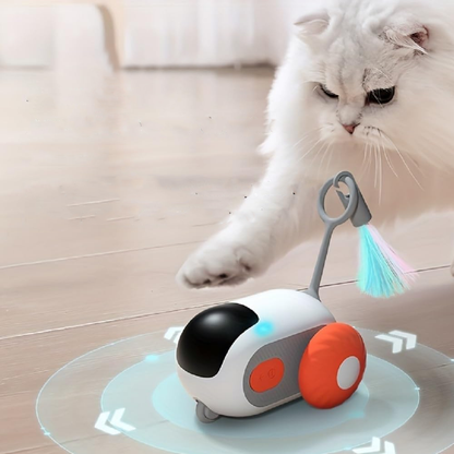 Indoor Cat Smart Electric Toys