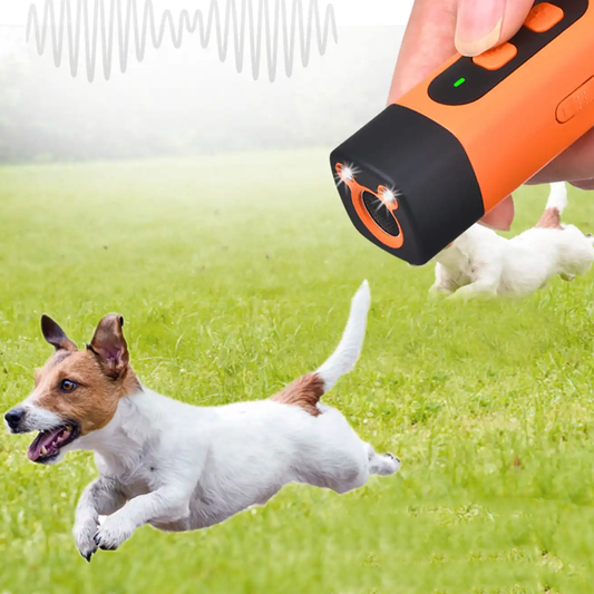 Mini Handheld Pet Training Flashlight
