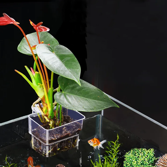 Adjustable Fish Tank Plant Pot Holer