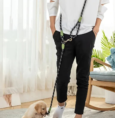 Reflective Nylon Dog Leash