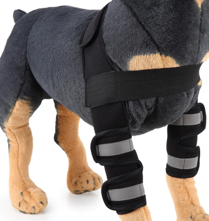 Dog Knee Brace & Leg Protector