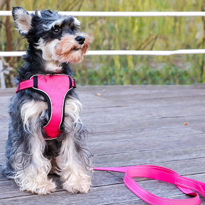 Vest-Style Dog Walking Leash