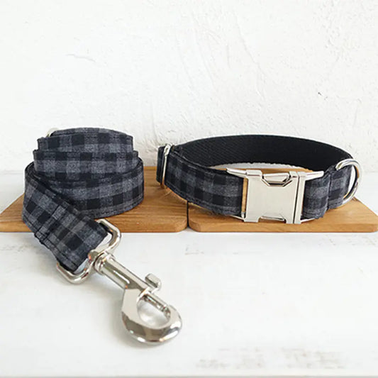 Pet Leash Training for Dogs