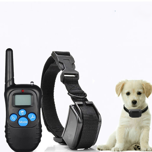 Dog Training Equipment & Accessories