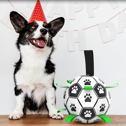 Interactive Dog Soccer Ball
