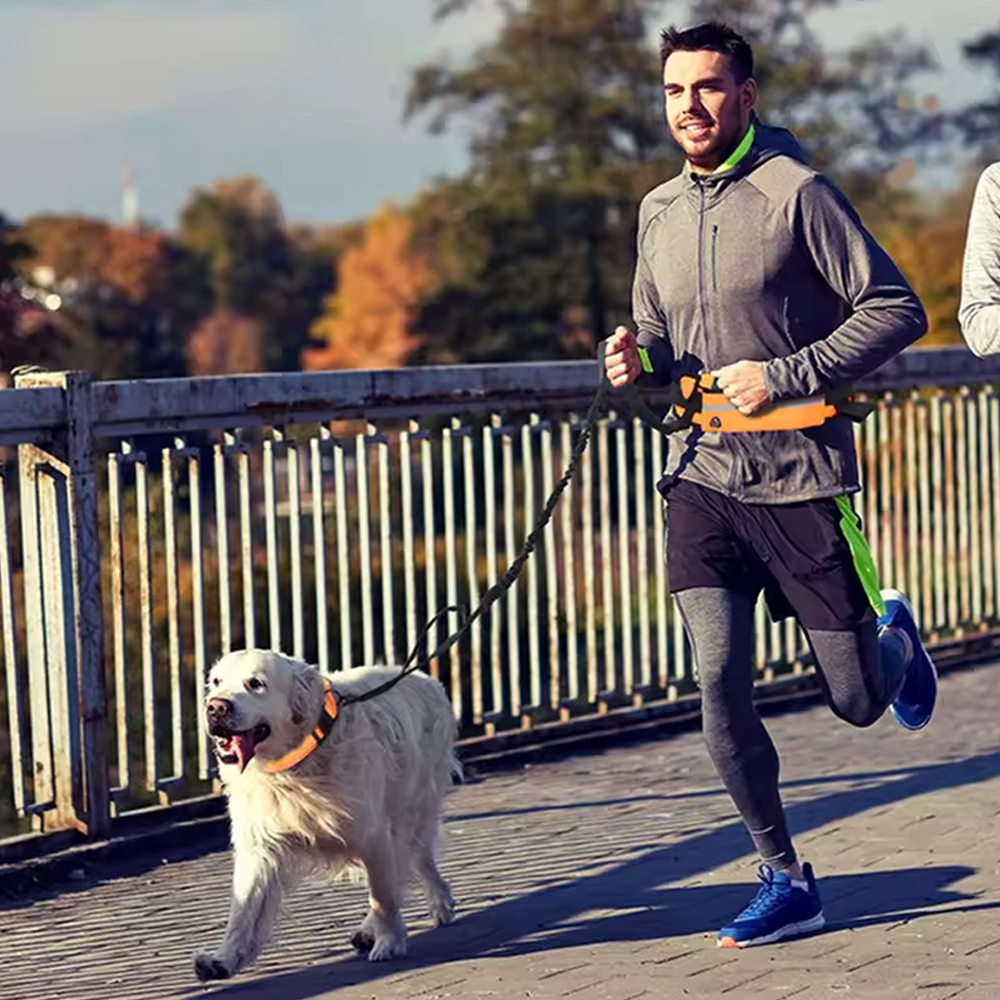 Reflecto Leash Hands-Free Dog Lead