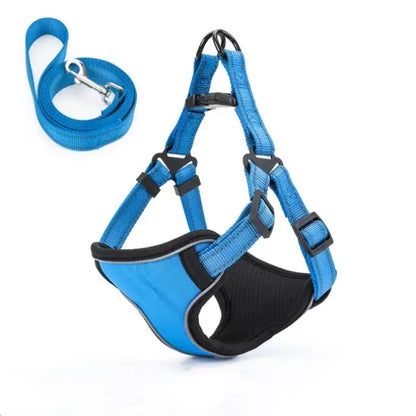 Vest-Style Dog Walking Leash