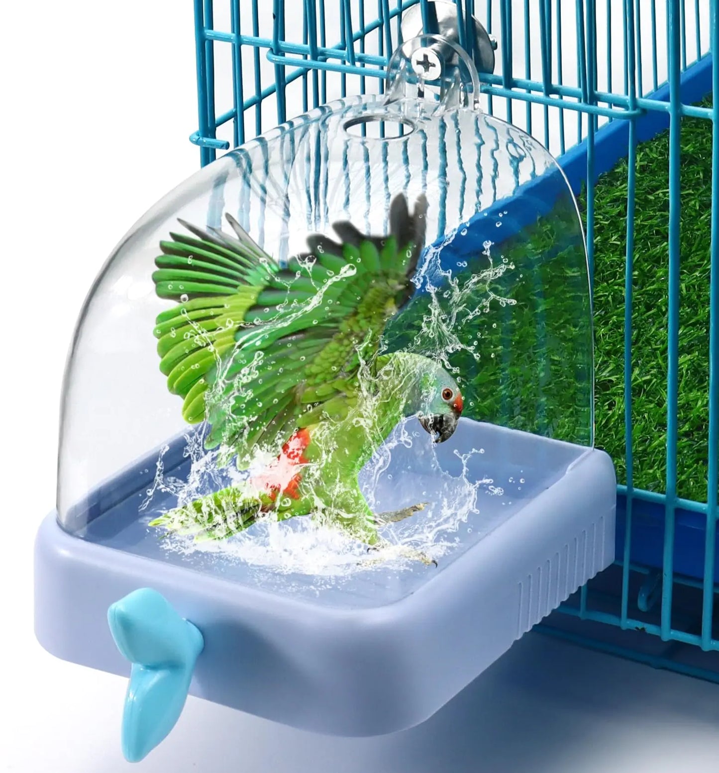 Parakeet Caged Bathing Tub