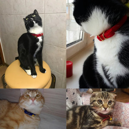 Cat Safety Collar