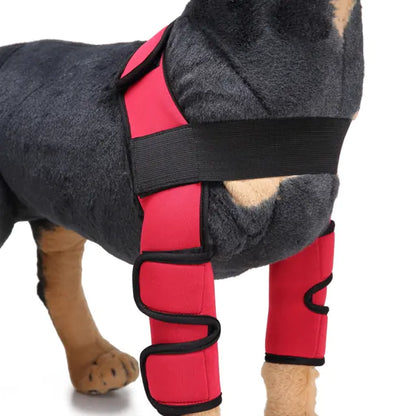 Dog Knee Brace & Leg Protector