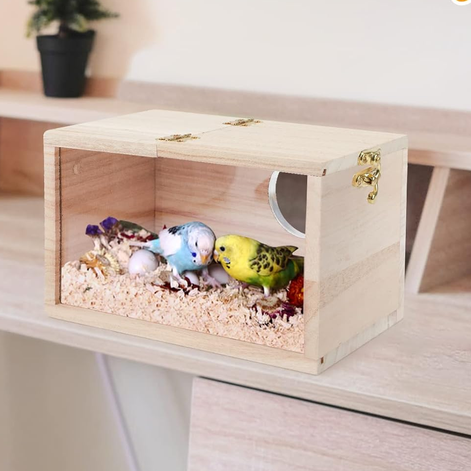 Transparent Wood Parrot Box House