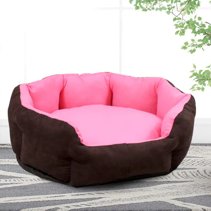 Dog Supplies for Small and Large Breeds