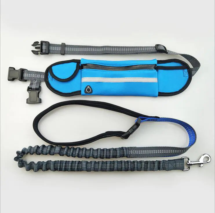 Waterproof Waist Bag with Leash