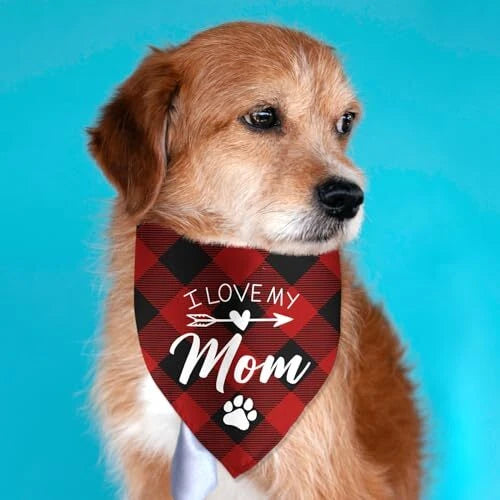 Cute Dog Pet Scarf